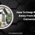 How To Keep Wasps Away From Blink Cameras