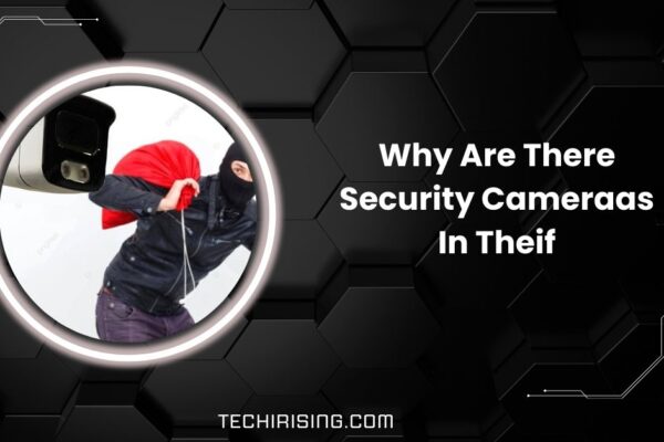 Why Are There Security Cameraas In Theif