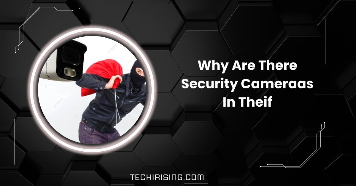 Why Are There Security Cameraas In Theif